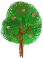 ki.yumi.gif